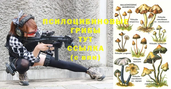 скорость Михайловка